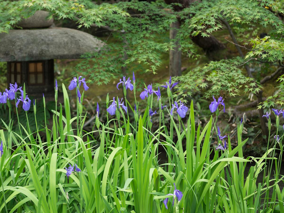 Nanzenji Sando Kikusui Kyōto Exterior foto